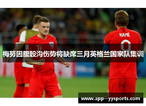 梅努因腹股沟伤势将缺席三月英格兰国家队集训